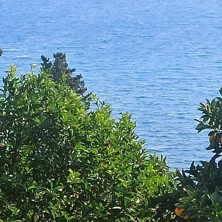 Takis & Eirini Family Apartman