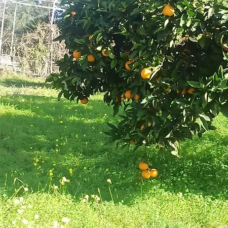 Takis & Eirini Family Apartman