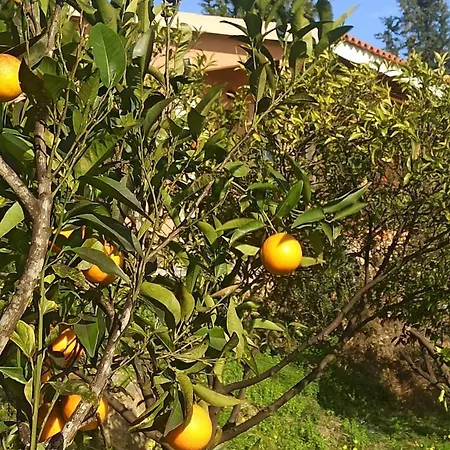 Takis & Eirini Family Apartman Pérama