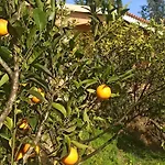 Takis & Eirini Family Appartement Perama (Corfu)
